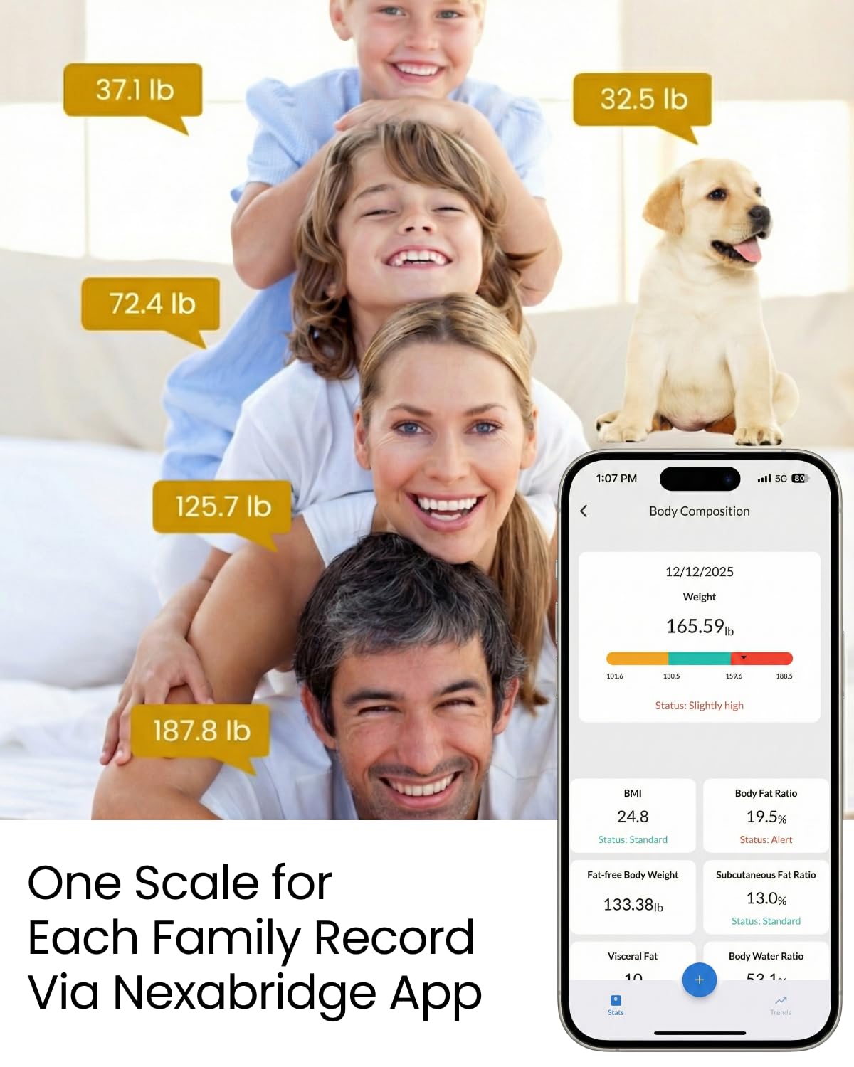 Smart Scale for Body Weight, BMI, Body Fat, Muscle Mass, 11" Large Digital Bathroom Scale, 12 Body Composition Analysis, Sync App, Bluetooth, LED Display, 400 lbs - Nexa 1 - Restful Hideout