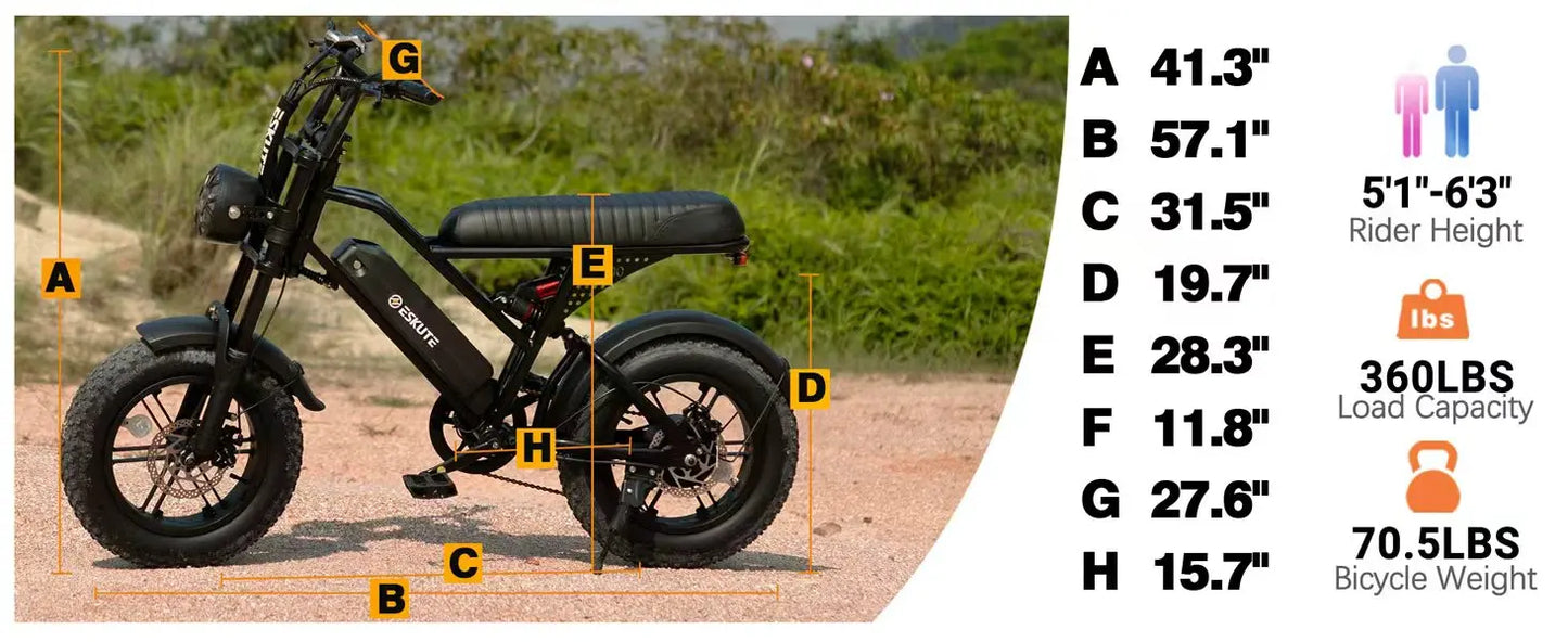 V100 Electric Bike, 1500W Peak 28MPH 48V13Ah Motorcycle,