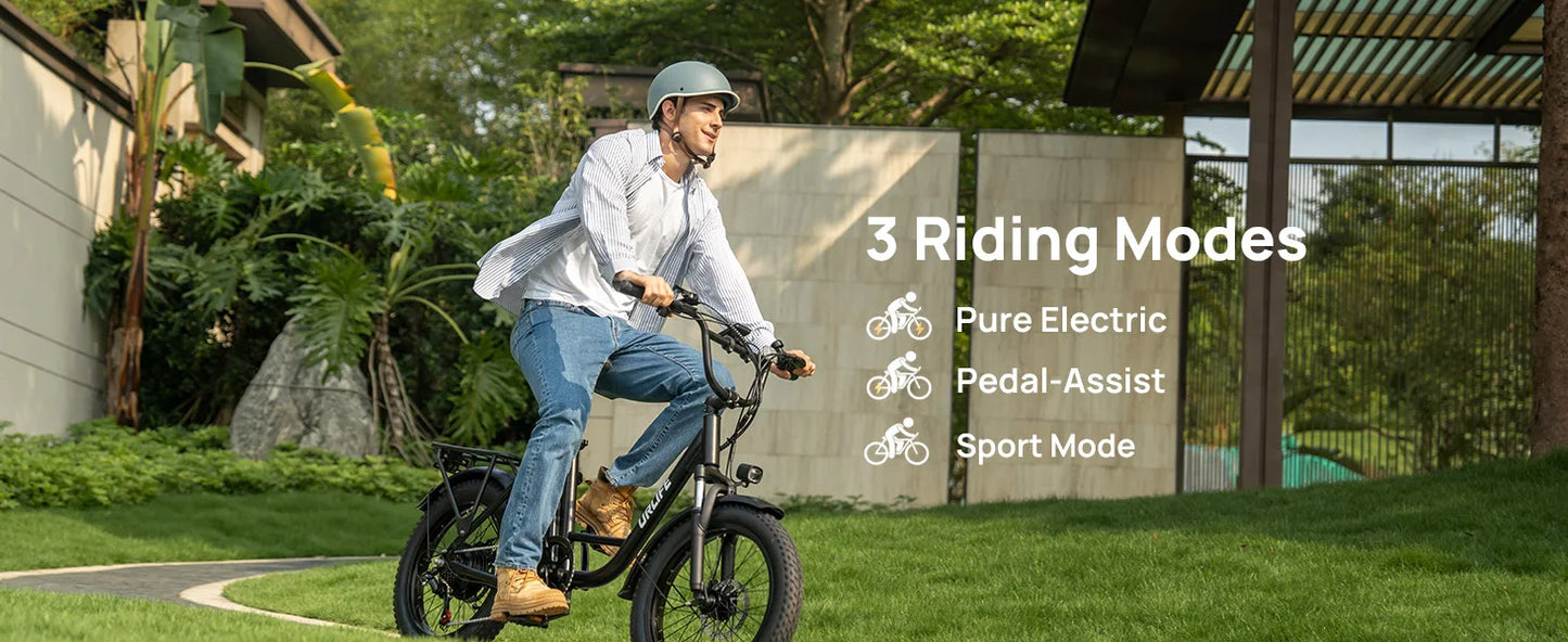 Fat Tire Electric Bike 48V 13Ah Removable Battery 20MPH 7-Speed