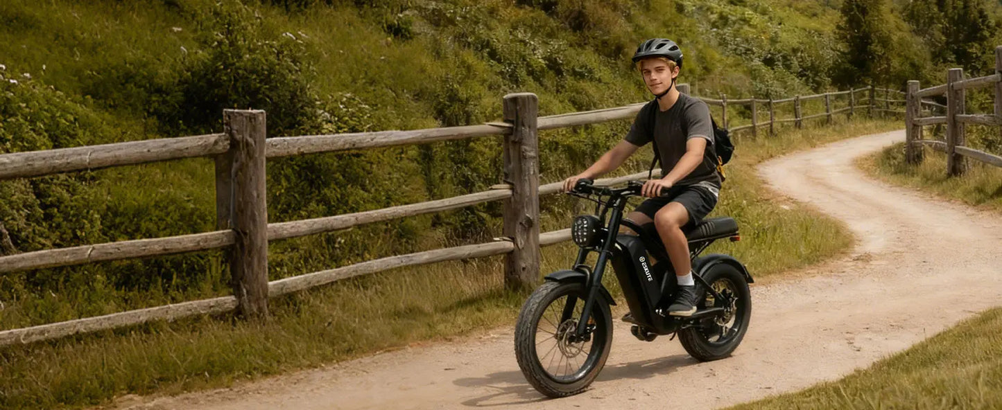 V100 Electric Bike, 1500W Peak 28MPH 48V13Ah Motorcycle,