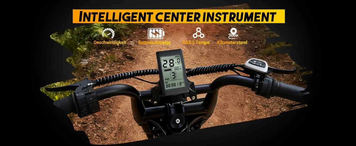 V100 Electric Bike, 1500W Peak 28MPH 48V13Ah Motorcycle,
