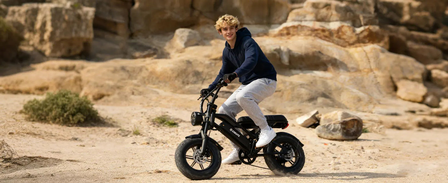V100 Electric Bike, 1500W Peak 28MPH 48V13Ah Motorcycle,