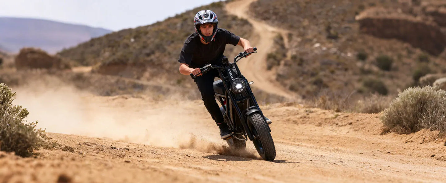 V100 Electric Bike, 1500W Peak 28MPH 48V13Ah Motorcycle,