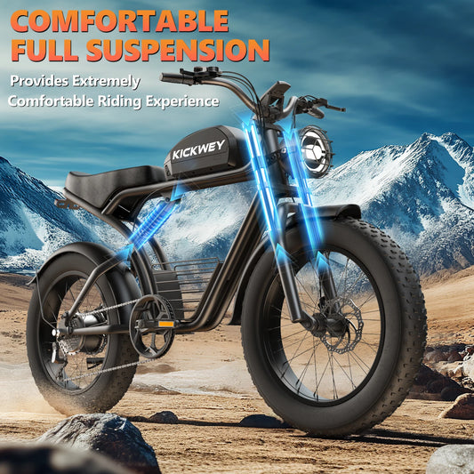 Adult Electric Bicycle 3000w(Dual Motor 1500w×2) 48V 23ah Mountain Bike