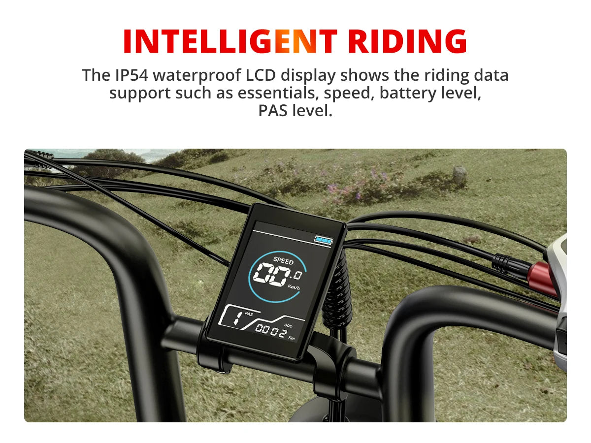 S8 Adults Electric Bike For Men  Motor 2000W Dual Bicycle 48V Battery 20"Bikes