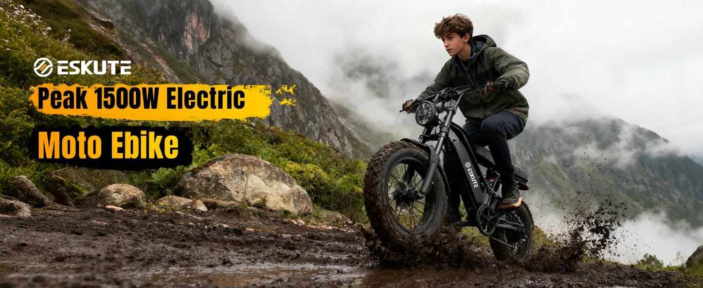 V100 Electric Bike, 1500W Peak 28MPH 48V13Ah Motorcycle,