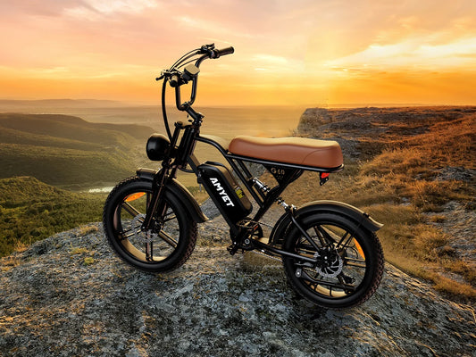 Adults Electric Bike 1000W Motor Mountain Moped Ebikes For Men