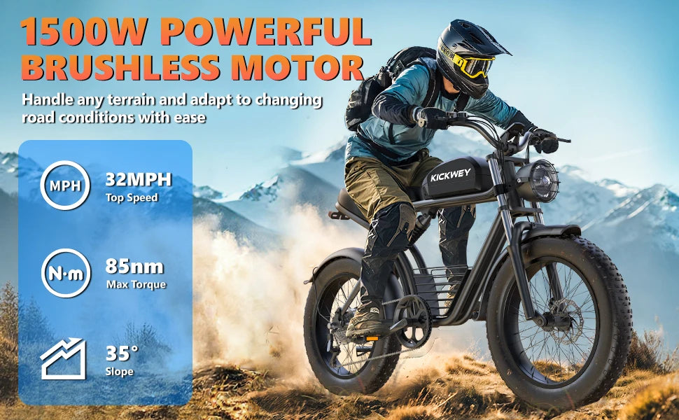 Adult Electric Bicycle 3000w(Dual Motor 1500w×2) 48V 23ah Mountain Bike