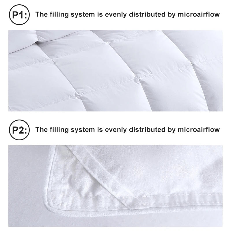 2 Pieces Feather and Down Comforter Queen Size