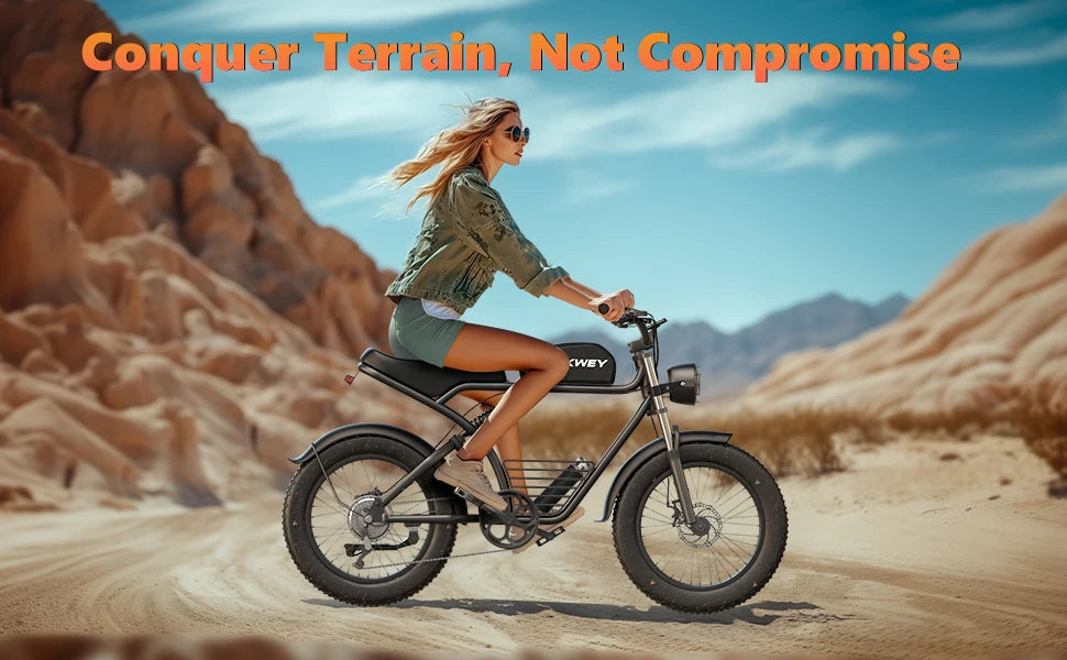 Adult Electric Bicycle 3000w(Dual Motor 1500w×2) 48V 23ah Mountain Bike