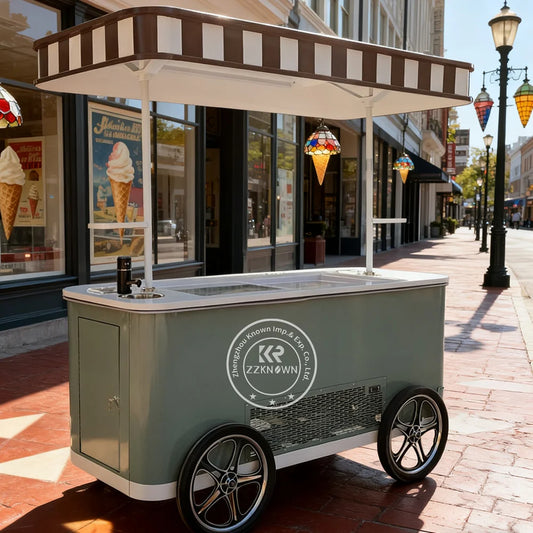 New Street Mobile Ice Cream Bike Cart Customized Freezer Gelato Ice Cream Vendor Bike Cart with Refrigerator