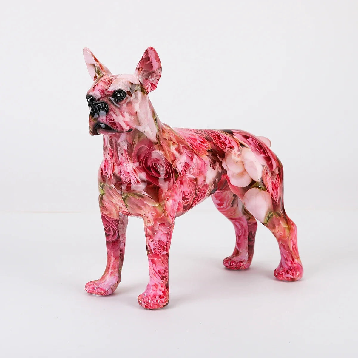 Simple Colorful Boston Terrier Small English  Pet Dog