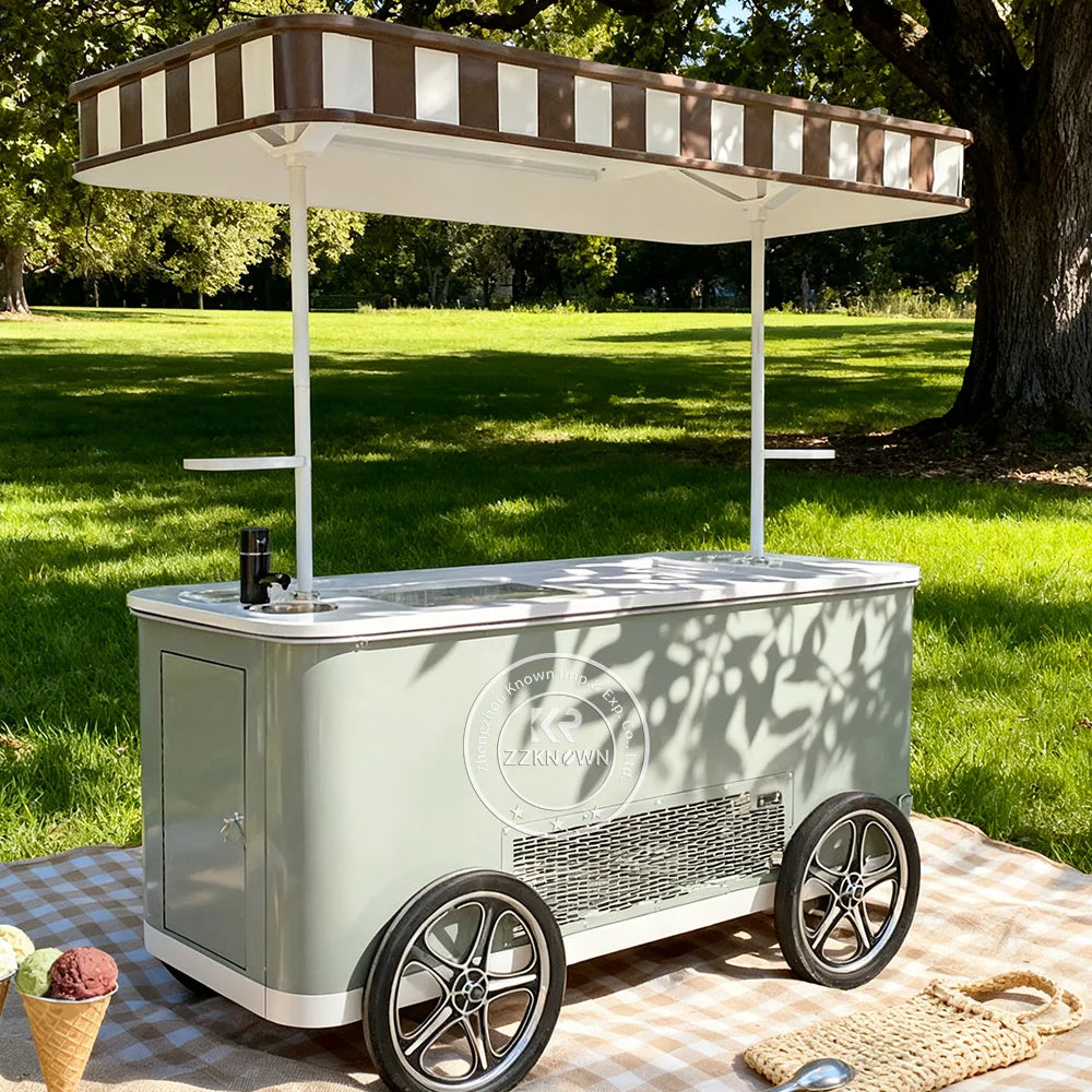 New Street Mobile Ice Cream Bike Cart Customized Freezer Gelato Ice Cream Vendor Bike Cart with Refrigerator