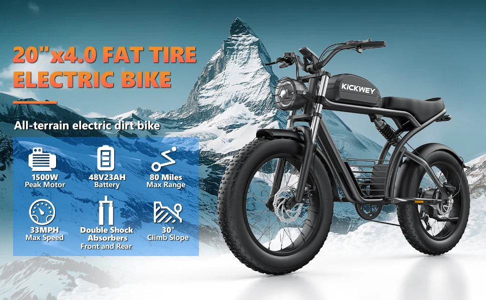 Adult Electric Bicycle 3000w(Dual Motor 1500w×2) 48V 23ah Mountain Bike